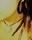 Brackish