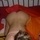 JessiX