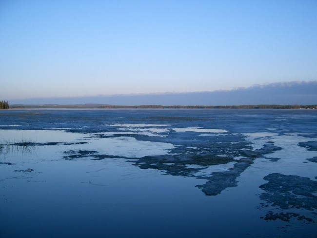 lellinna