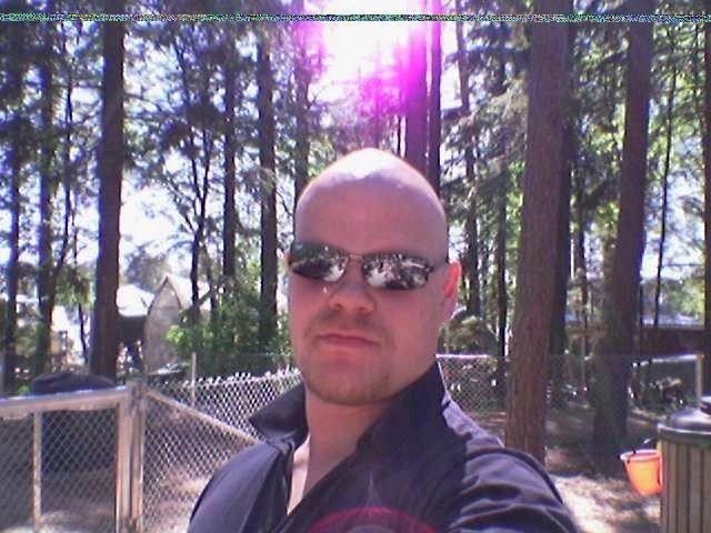 niklas33