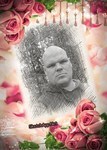 niklas33